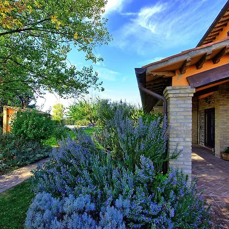 Reale By Posarellivillas Villa *